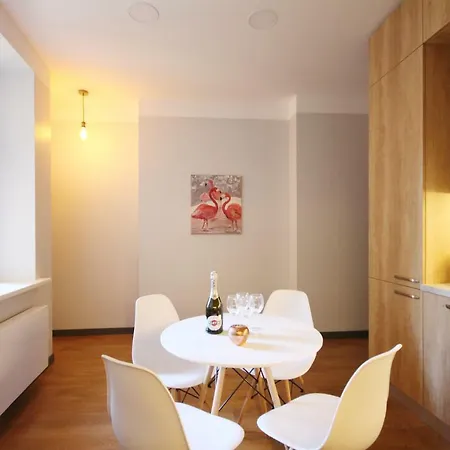 Modern In Historic Apartment *